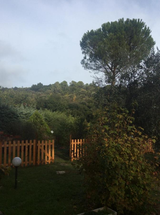 B&B Il Frassino Perugia Exterior photo